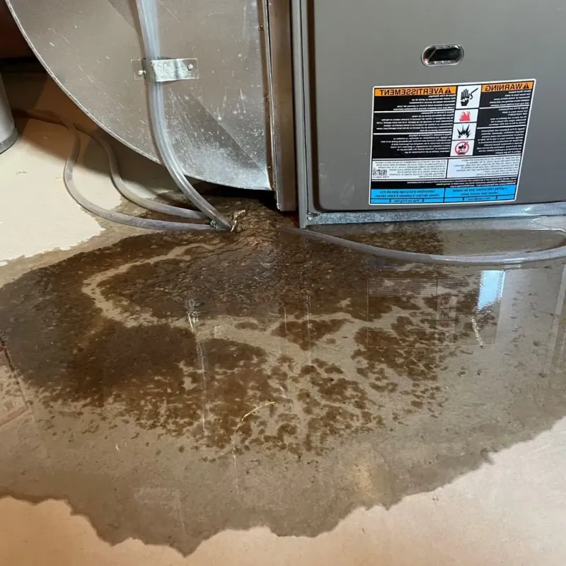 Pipe Burst and Leak Restoration in Bel Air, MD